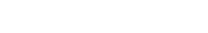 lvt logo